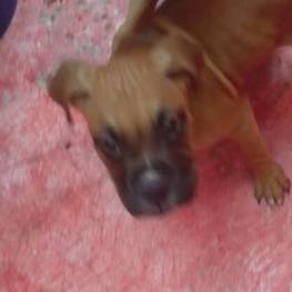 D dab0e02c 1a05 4690 b462 dad8a449754b