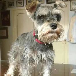 D b67696fb be9e 48f6 9ebe c4cbacb6237c