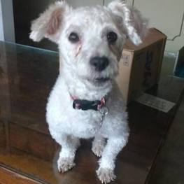 D 217016a1 268c 41af 8308 ba226ded6d3a