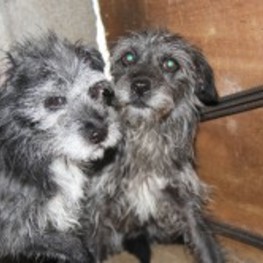 D bbe590f5 0e0b 4a23 846c 4290f3fa4c13