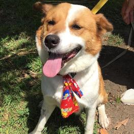 D 11d2c0dd e484 4d57 be05 6bfbdaa47f45