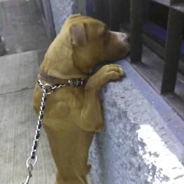 D 60e92c09 f728 495b a300 3d2f08b0614a