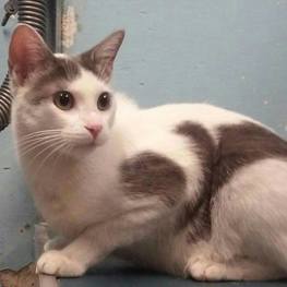 D 7e955f88 47c7 460a a6bc 9f44eb530c68