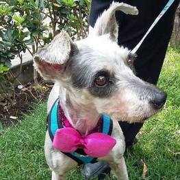 D 8df6bb84 756a 4402 9fb5 7994dc3d7c0a