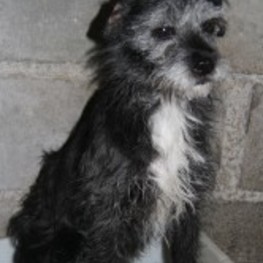 D 8fc346ad a913 4ea1 81db 6ff1d8cbade1