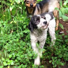 D c5193fea ff9d 4888 9b39 6edce472a68d