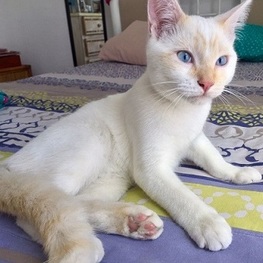 D b690048f 2987 446a 8c27 6d7006253cb9