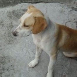 D 6f26cb24 e457 449a 9f97 62b027a24794