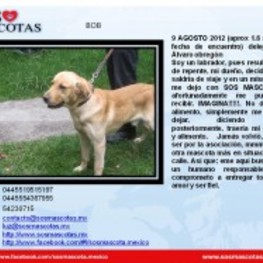 D 30dd8449 f12d 4d91 b368 611a6800cfae