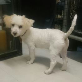 D 4ce68fcc 2199 4a6a b3e8 60496db8845d