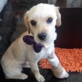 D 89e006bd 04d6 497f bbf0 42aa770ea9f2