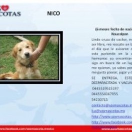 D 91eee384 04bf 455b a418 f47a50311997