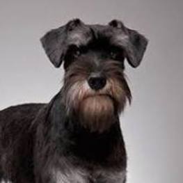 D 787b6c26 1255 4137 8066 f784001c1cb1