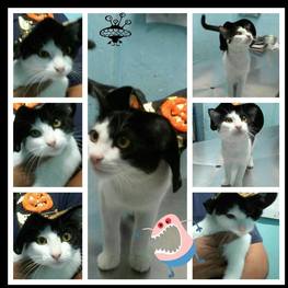 D c8e9dcf9 d4ba 437c b704 63742849b635