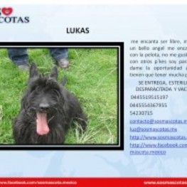 D b1e66fb8 0f8c 4815 bb95 ec2b9bb71ace