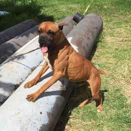 D 50514698 d932 487b afd5 52f78b94f117