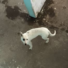 D 2d43e684 c655 42bc a646 55c659b069d1