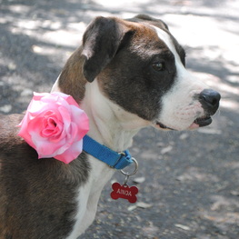 D 327d4779 89fd 4023 8c32 5314700d45d8