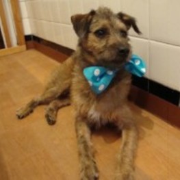 D 66dc164e 5540 4a3b a893 55b454aa171d