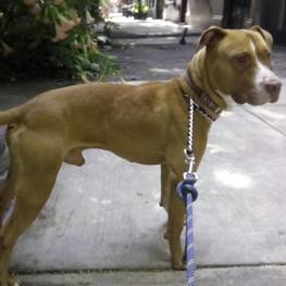 D a7e90b84 2a2f 4d7a a353 4900876d617d