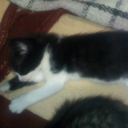 D ab35ccb3 6074 4328 a2f5 7d277e5311fa