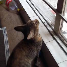 D 95fd24ea 7466 4f10 9eb2 42711a89a61a