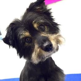 D 708dac80 8a0d 4ef0 8909 40173b904480