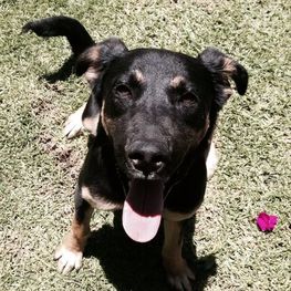 D 925b0901 e38f 4d8d 8631 103c529b7165