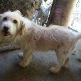 D b9c5596f 80a2 4277 ad98 59d8421babaf