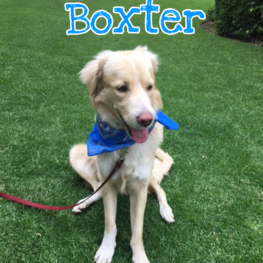 D 01541fd0 b685 49ec b58b 0e6e238171dc