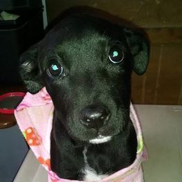 D a47a3662 41c4 463e 966d 49f1da222740