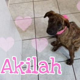 D d8eaeca1 cbae 416c a738 b5469ced5cb9