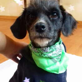 D 7d4a5b12 cae5 4244 a056 947d2ea577c7