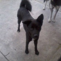 D d851dde5 df5f 4d74 9a67 61bd0b979ae7