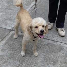 D 1f9134f3 0198 4b4d 8342 549304b247f6