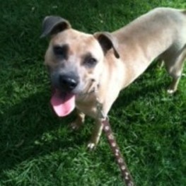 D 142b46db b86d 4d62 a71b feee85469277