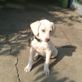 D f764ad03 a55b 4d37 a574 5f8cfa133e0c