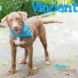 D fd16b81e 44e1 47a0 b5ec d719b632f27c