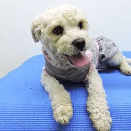 D f15a7448 538c 4087 809c d68114c135df