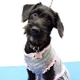 D a63a89b9 2306 48fe b27e 7f9a701bf2a0