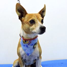 D fe033388 9fdf 42bc ae71 edca9eb5bbca