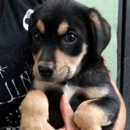 D 91bb9fbf fc31 4f65 9ecc a726b1bcf83a