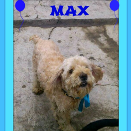 D 76ec7162 a34e 4e84 a76e baae601ed4f5