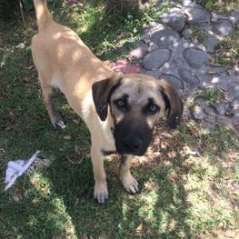 D fce9b6e1 9d66 41a3 954b 6d1ec79c947c