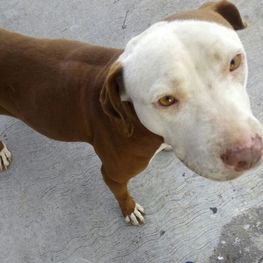 D 5f813800 bed8 4024 be36 b83afc8d7511