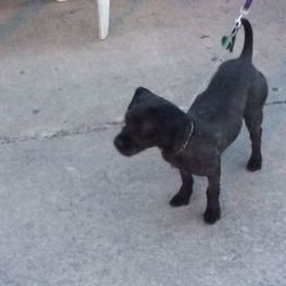 D 4b61d373 b5ee 4217 8c34 7e60d6e85bf9