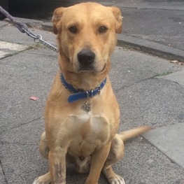 D e7d444ff 26d6 4ab6 813b 0b4dad9de0e0