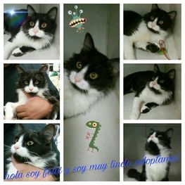 D a7403f98 9714 426b 9543 44c0185a3960