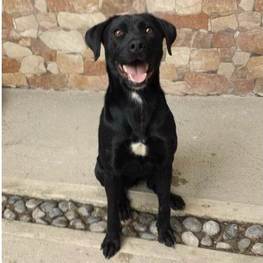 D 1a9226c1 28c6 43e3 97f5 ad5afe93528e