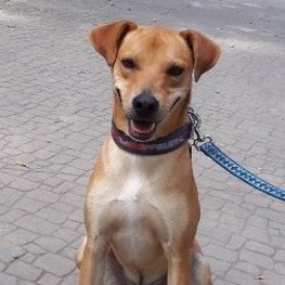 D 8a4de221 da7a 4c93 921d 3ffdf2a94492